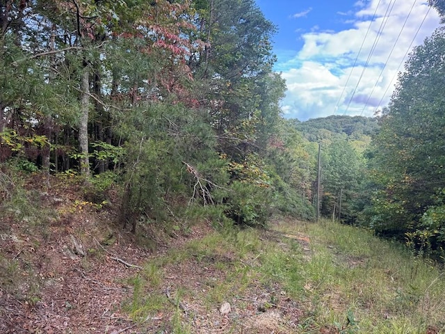 13.57AC Burnt Mountain Cove Rd, Jasper GA, 30143 land for sale