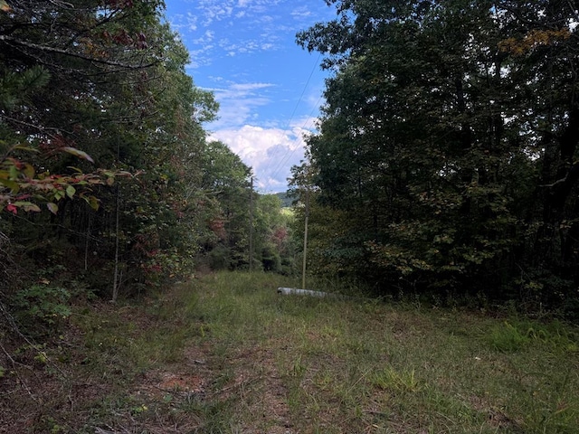 13.57AC Burnt Mountain Cove Rd, Jasper, GA 30143