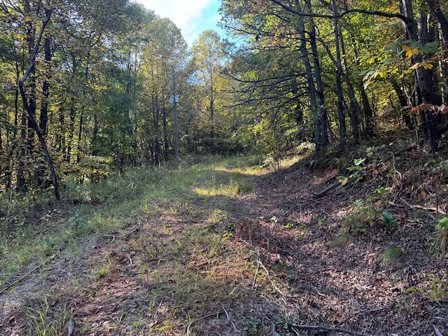 13.57AC Burnt Mountain Cove Rd, Jasper, GA 30143