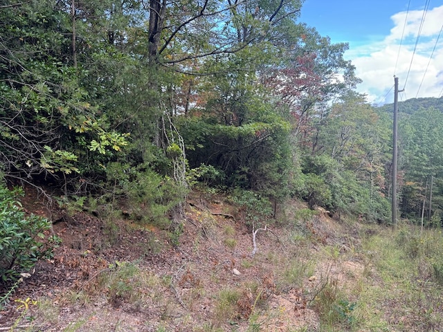 13.57AC Burnt Mountain Cove Rd, Jasper, GA 30143