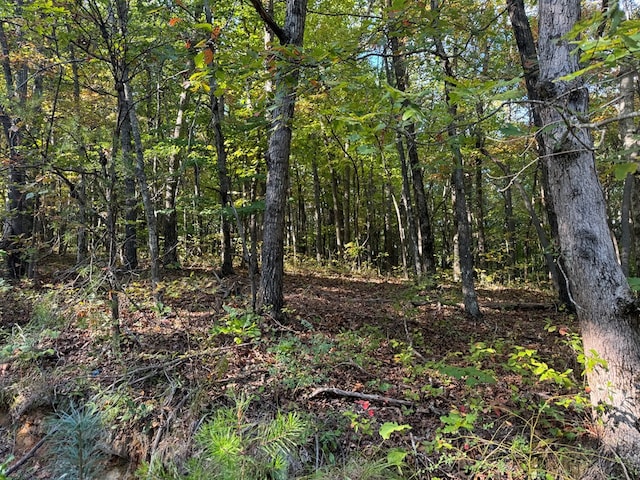 13.57AC Burnt Mountain Cove Rd, Jasper, GA 30143