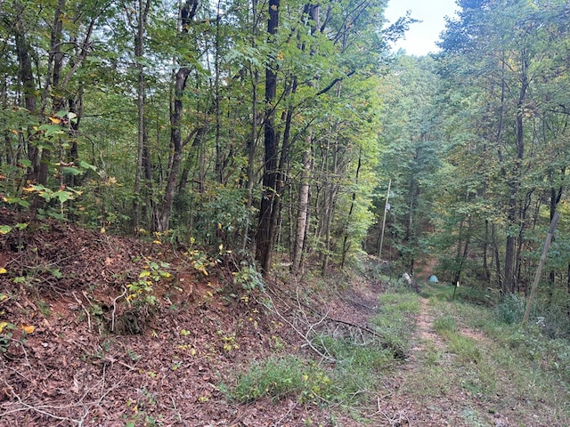 13.57AC Burnt Mountain Cove Rd, Jasper, GA 30143