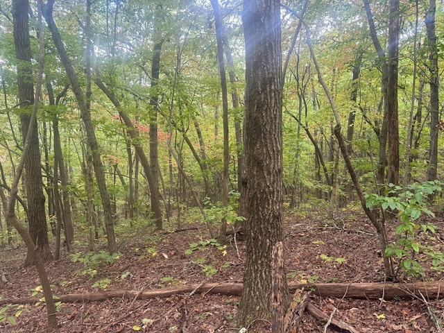 13.57AC Burnt Mountain Cove Rd, Jasper, GA 30143