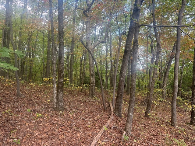 13.57AC Burnt Mountain Cove Rd, Jasper, GA 30143