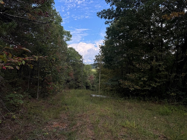 13.57AC Burnt Mountain Cove Rd, Jasper, GA 30143
