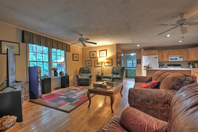 living room with ceiling fan, a textured ceiling, light wood-type flooring, and crown molding