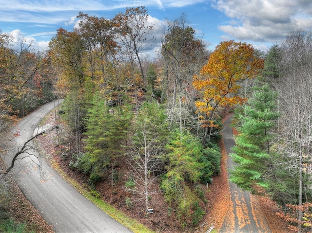 view of road featuring a view of trees