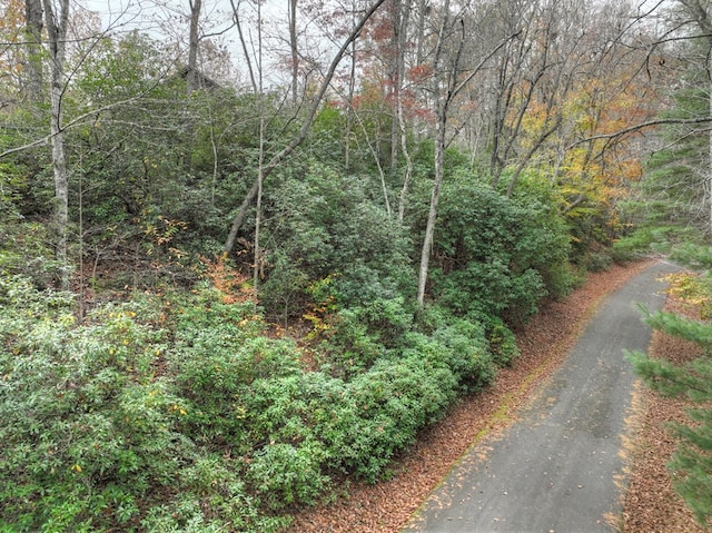 view of street with a wooded view