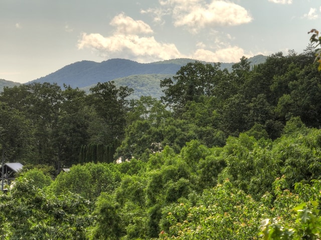100 Smith Hill Rd, Cherry Log, GA 30522 - mountain view with a heavily wooded area