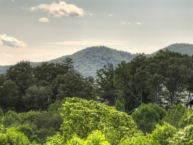 100 Smith Hill Rd, Cherry Log, GA 30522 - view of mountain background
