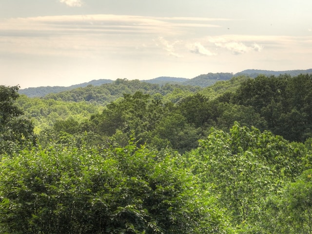 100 Smith Hill Rd, Cherry Log, GA 30522 - mountain view featuring a forest