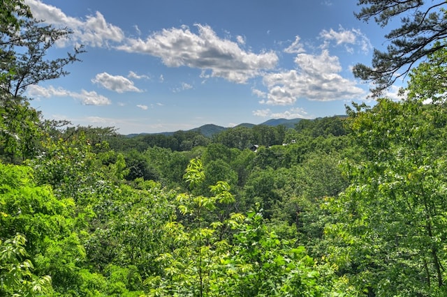 100 Smith Hill Rd, Cherry Log, GA 30522 - mountain view with a forest