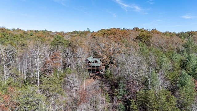 327 Dancing Trees Trl, Morganton, GA 30560 - view of subject property featuring a heavily wooded area