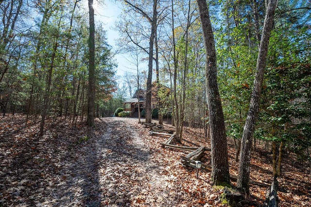 327 Dancing Trees Trl, Morganton, GA 30560 - view of dirt / gravel driveway with a forest view