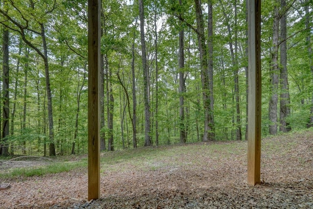 view of yard with a forest view