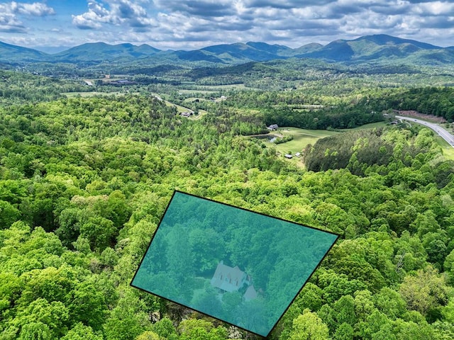 birds eye view of property featuring a mountain view and a forest view