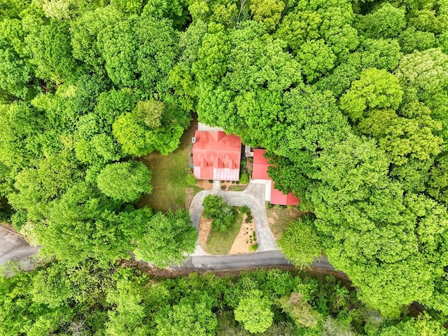 bird's eye view