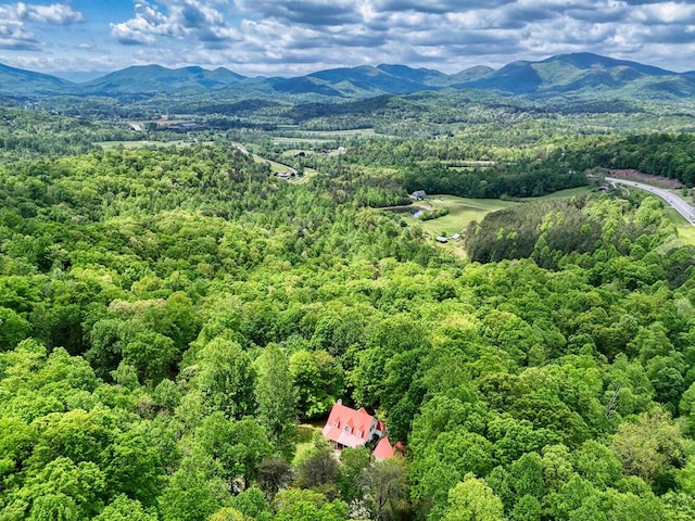 bird's eye view featuring a mountain view and a forest view
