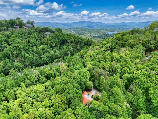 bird's eye view with a view of trees and a mountain view