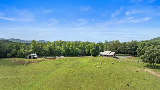 102 Cross Creek Ln, Warne, NC 28909 - view of yard featuring a rural view, a wooded view, and an outdoor structure