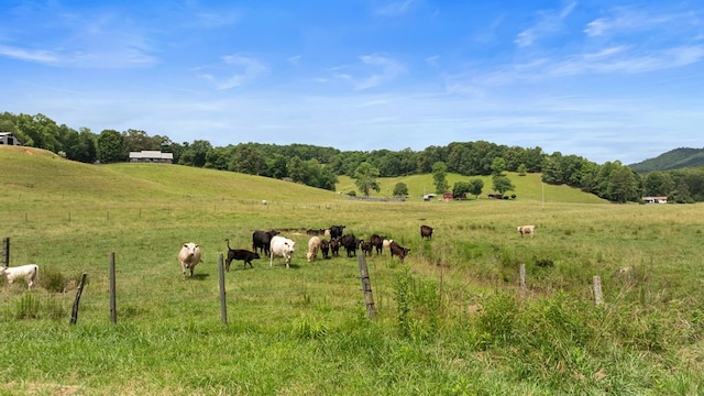 102 Cross Creek Ln, Warne, NC 28909 - view of yard featuring a view of countryside