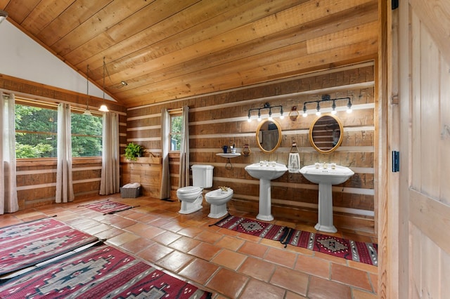 102 Cross Creek Ln, Warne, NC 28909 - living area featuring vaulted ceiling, wooden walls, and wooden ceiling