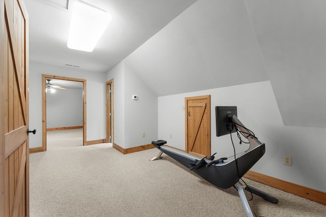 102 Cross Creek Ln, Warne, NC 28909 - exercise room with carpet and vaulted ceiling