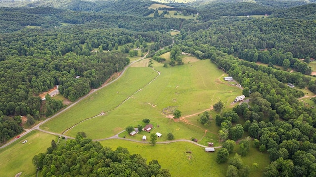 102 Cross Creek Ln, Warne, NC 28909 - aerial view of property's location featuring rural landscape and a heavily wooded area