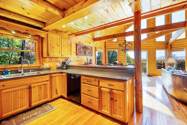 kitchen with a healthy amount of sunlight, sink, light wood-type flooring, and black dishwasher