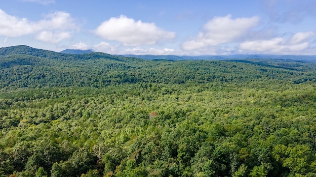192 Oak Ridge Way, Morganton, GA 30560 - bird's eye view of a forest and a mountainous background