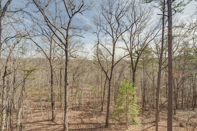 view of local wilderness