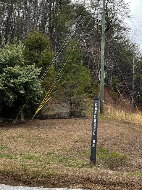 Listing photo 2 for LOT156 Etowah Dr, Ellijay GA 30540