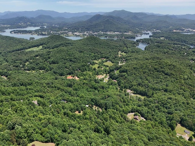 LOT30 Hidden Summit Rd, Hiawassee GA, 30548 land for sale