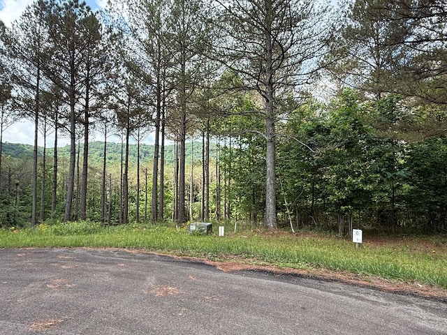 LOT9 Eastview Trl, Ellijay, GA 30536