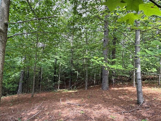LOT9 Eastview Trl, Ellijay, GA 30536