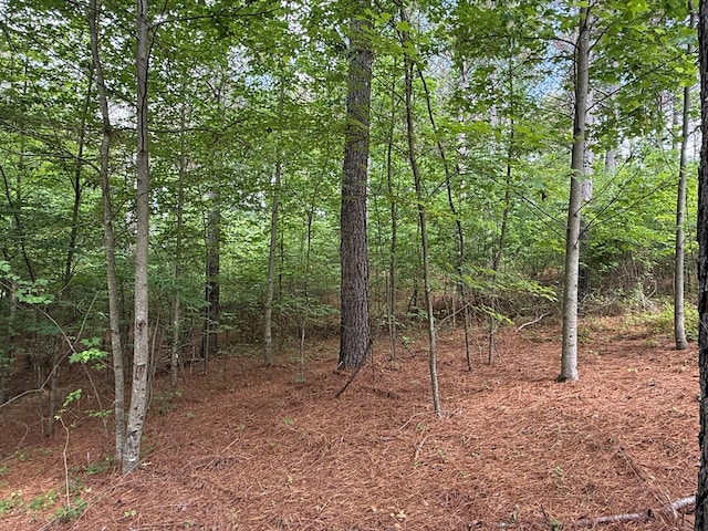 LOT9 Eastview Trl, Ellijay, GA 30536