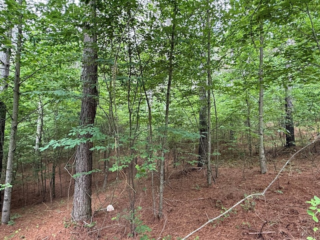 LOT9 Eastview Trl, Ellijay, GA 30536