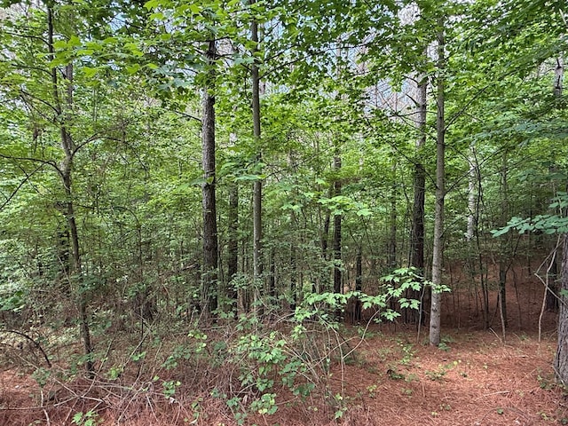 LOT9 Eastview Trl, Ellijay, GA 30536