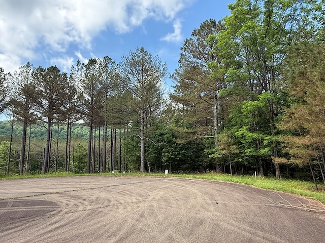 LOT9 Eastview Trl, Ellijay, GA 30536