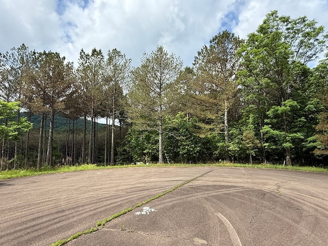 LOT9 Eastview Trl, Ellijay, GA 30536