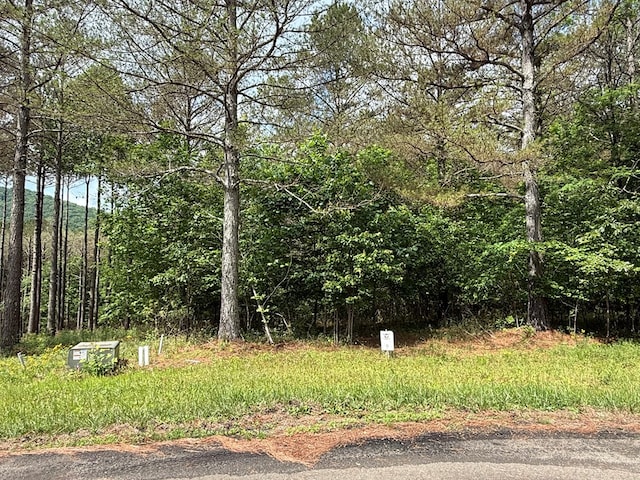 LOT9 Eastview Trl, Ellijay, GA 30536