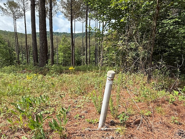 LOT9 Eastview Trl, Ellijay, GA 30536