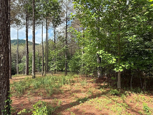 LOT9 Eastview Trl, Ellijay, GA 30536