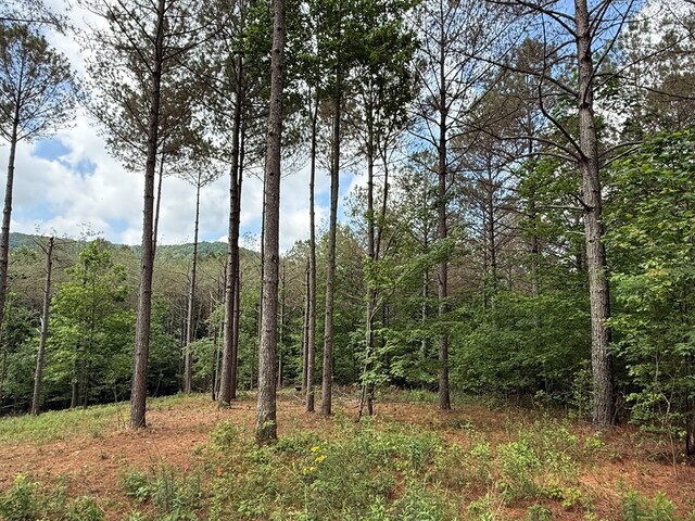 LOT9 Eastview Trl, Ellijay, GA 30536