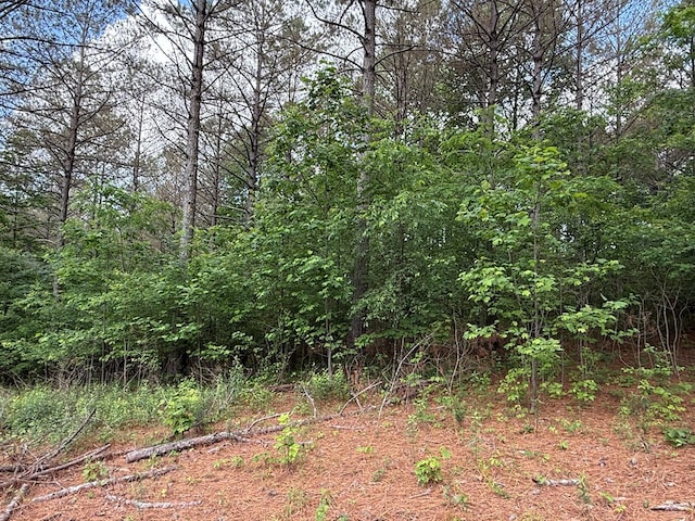 LOT9 Eastview Trl, Ellijay, GA 30536