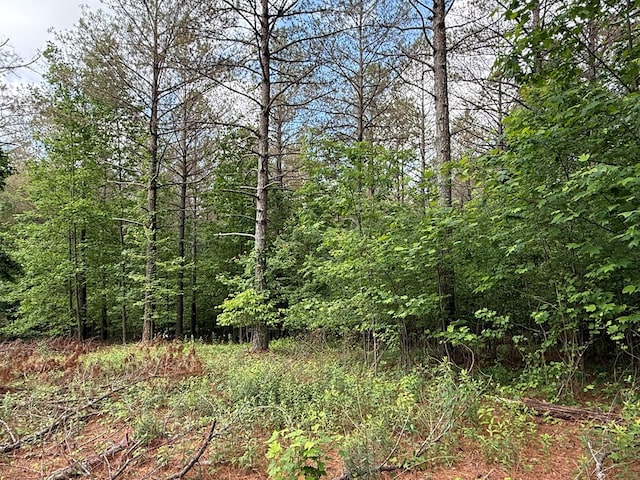 LOT9 Eastview Trl, Ellijay, GA 30536