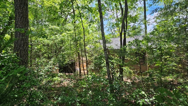 view of nature with a view of trees