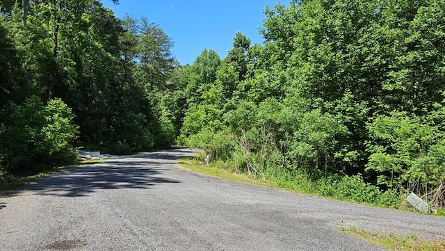 view of road with a view of trees