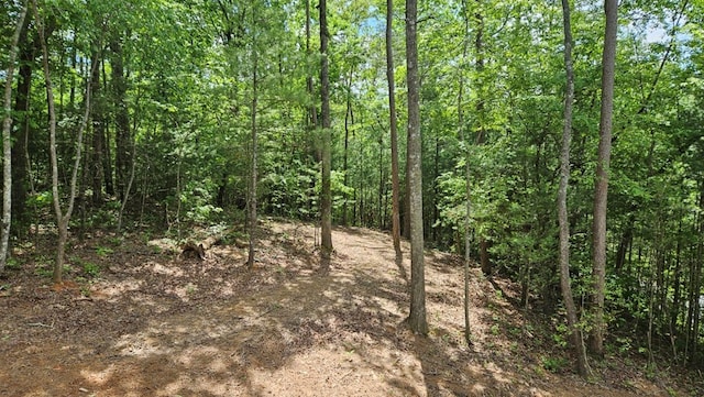 view of local wilderness featuring a wooded view