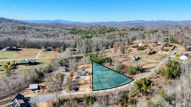 drone / aerial view featuring a mountain view